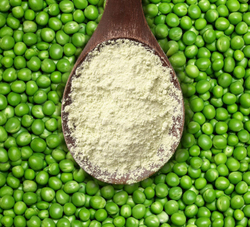 Гороховый белок (MegaProtein ST)