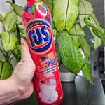 Средство для мытья посуды LION Lipon PRO Ягоды 750 мл.