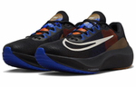 Кроссовки Nike Zoom Fly 5 "A.I.R. Hola Lou"