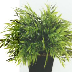 ДО "Йота-Блэк", 90х90, квадр, подд (3 места+сифонD90мм)