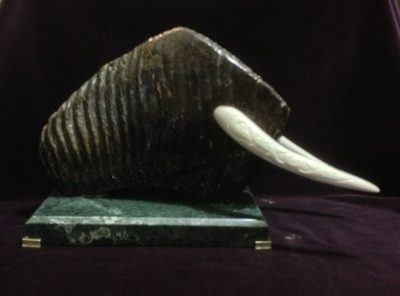 "Гиперборея", зуб мамонта