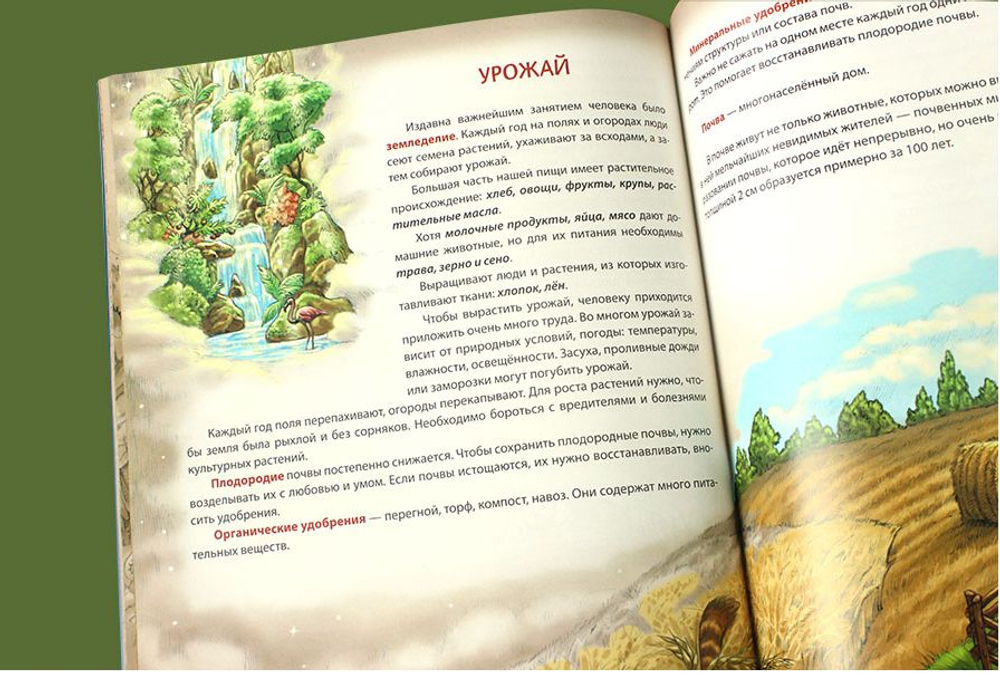 Мир вокруг нас, или Энциклопедия юного ученого. Ирина Токарева