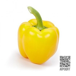 Оллраундер F1 семена перца сладкого (Rijk Zwaan / Райк Цваан)