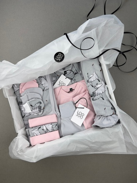 Сет LooJoo Newborn Журавли из 16-ти предметов (girl)