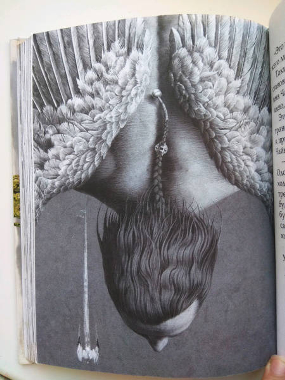 Чайка Джонатан Ливингстон