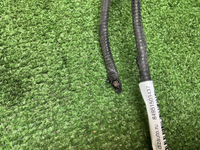 Проводка переднего бампера Lexus RX 4 (2019-2022)