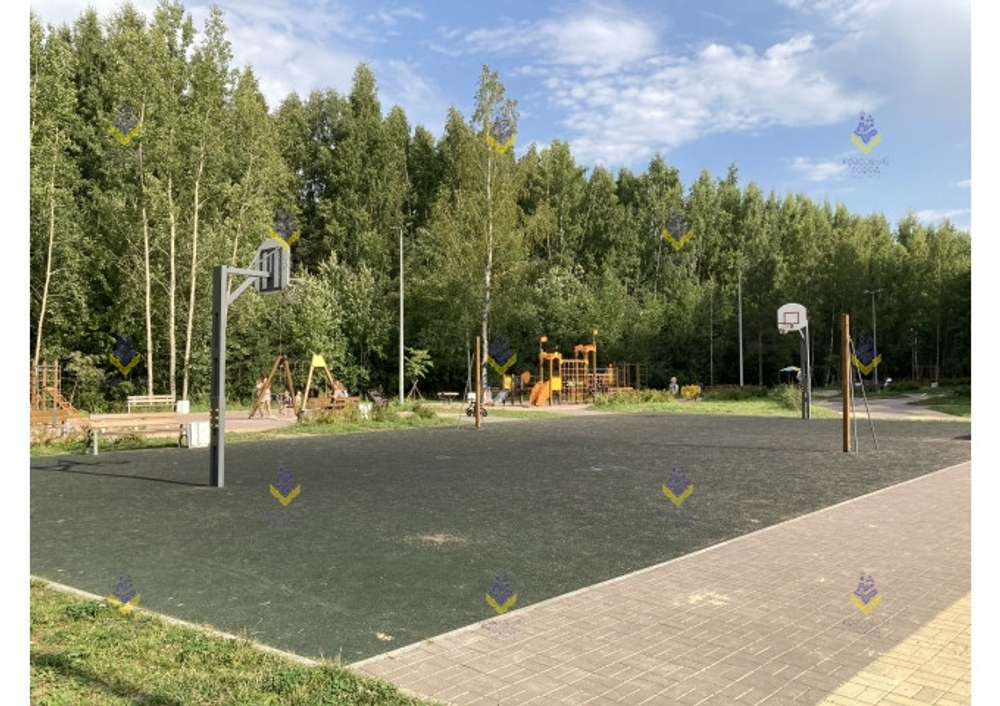 Баскетбольная башня профессиональная (комплект) с кольцом отв. 100х65 мм