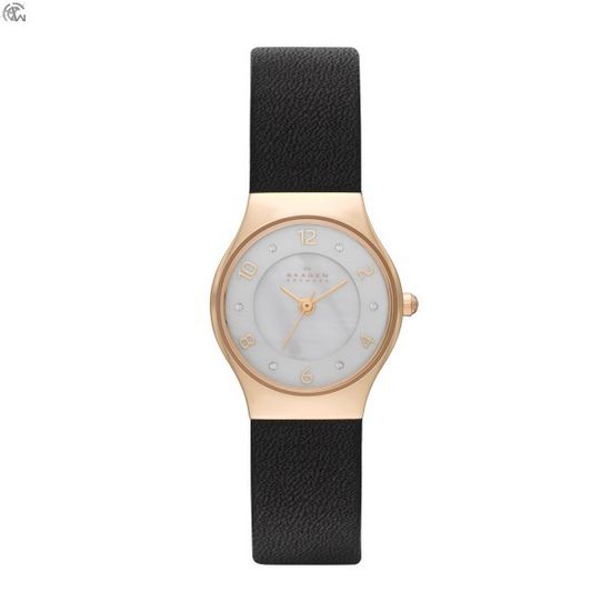 Наручные часы Skagen SKW2209