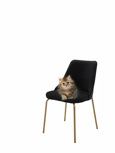 Стул "Флорес" 1 шт. Антивандальная ткань, Золотые ножки