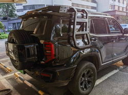 Tank400 лестница для верхнего багажника МК