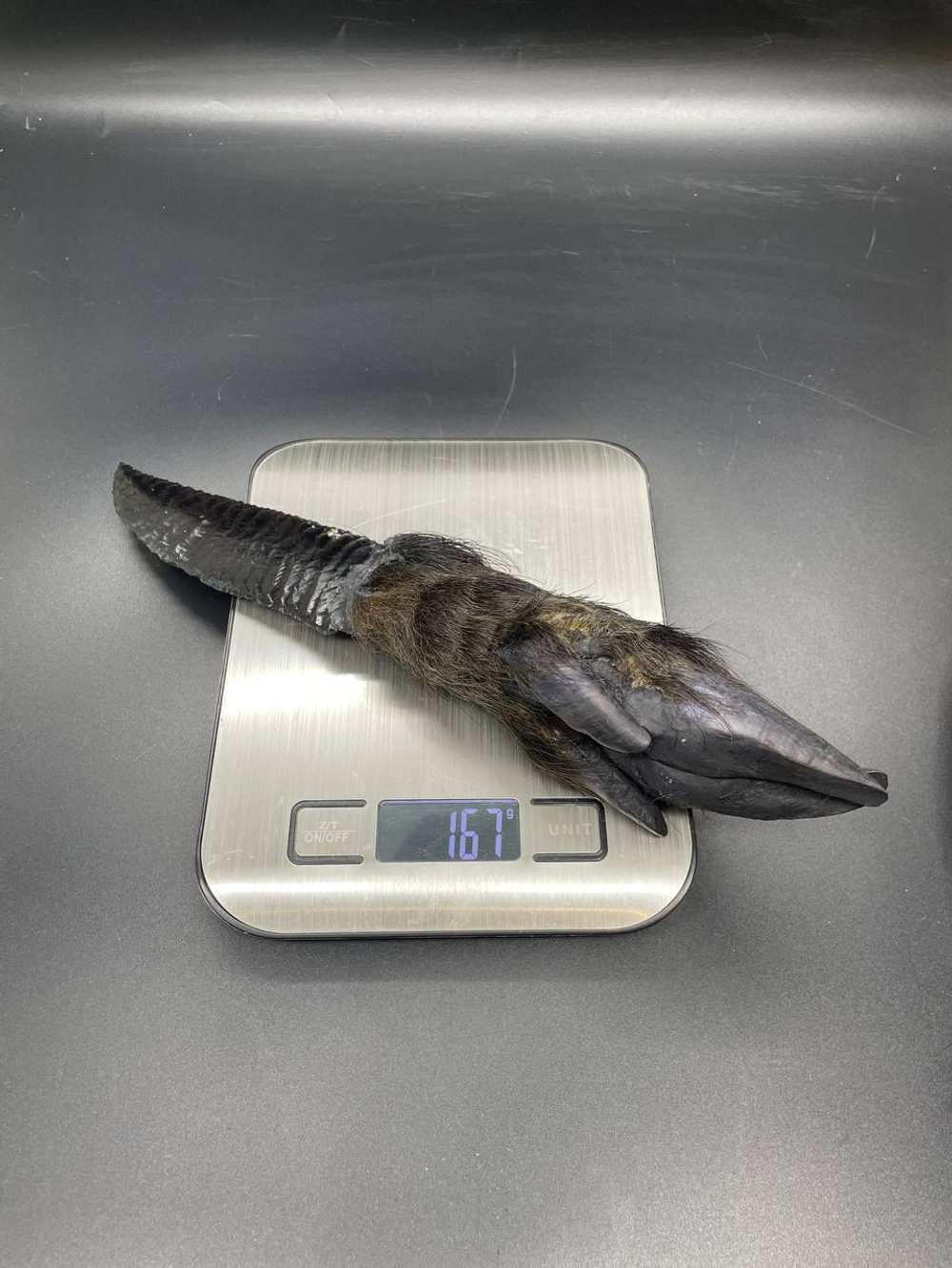 Обсидиановый нож с рукоятью копыта вепря 28 см