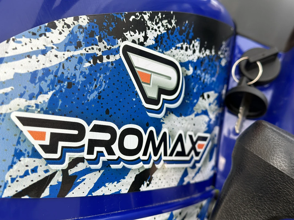 Квадроцикл PROMAX ATV 250 MAX (2025)