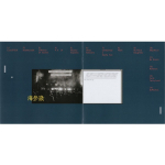Мумий Тролль / Пиратские Копии (2CD)