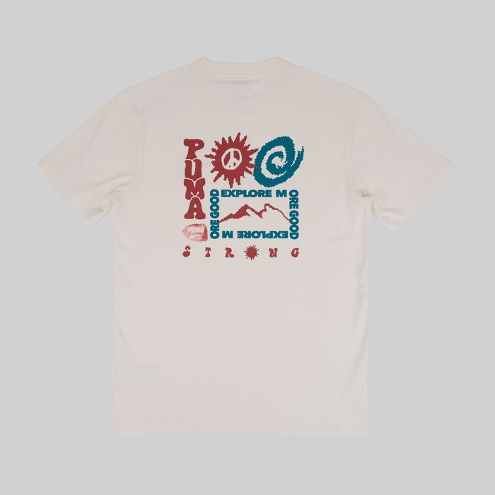 Футболка мужская Puma Downtown Graphic Tee артикул:622984-65 - купить в магазине Дайс