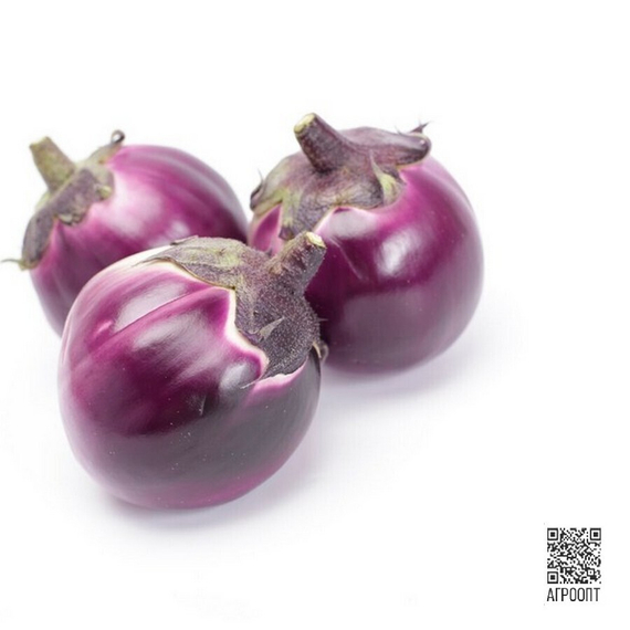 САБЕЛЛЕ F1 семена баклажана (Rijk Zwaan | Alexagro) – фото 3