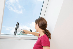 Аккумуляторный стеклоочиститель WV 5 Premium