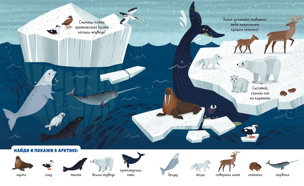 Найди и покажи. Мои любимые животные