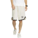 Шорты PUMA 8 Pt Logo Team Shorts, 536923-65