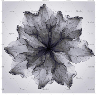 Микровелюр Xpoint / Икспоинт 0009.02 Калейдоскоп серый