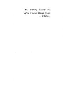 Chronicles of Avonlea | Lucy Maud Montgomery