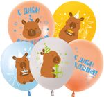 Шар (12''/30 см) Капибары, С Днем Рождения!, Ассорти, пастель, 2 ст, 25 шт.