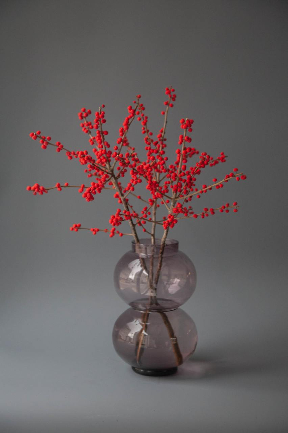 Илекс красный