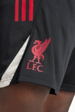 Шорты adidas Liverpool FC 25/26 Competition Training - красный