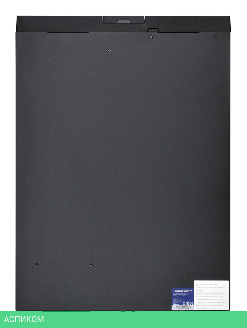Источник бесперебойного питания Ippon Smart Winner II 3000 3000ВА (1192982)