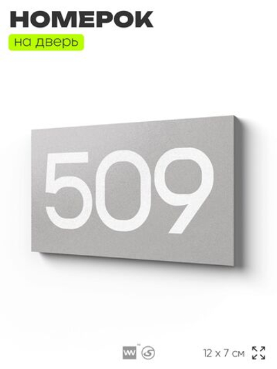 Номер на дверь 509, табличка на дверь для офиса, квартиры, кабинета, аудитории, склада, серая 120х70 мм, Айдентика Технолоджи