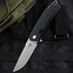 Нож туристический Bestech Lion сталь D2, рукоять G10 черная