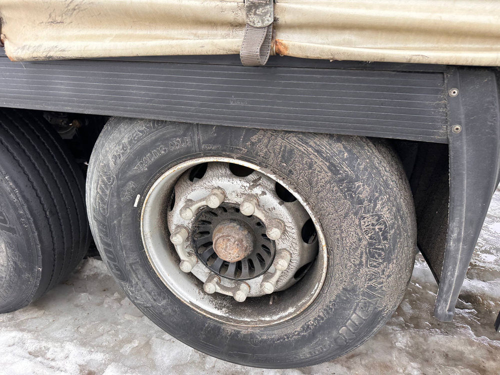 Grunwald 9453 Полуприцеп бортовой (евроборт) 9453-0000010-10 (Шторный)