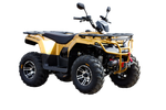 Квадроцикл IRBIS ATV200 PREMIUM 2024