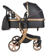 Коляска трансформер Aimile Adventurer (Черный / Total Black ADV-4)