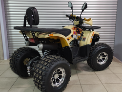 Квадроцикл PROMAX WILD 2.0 190 PRO (2025)