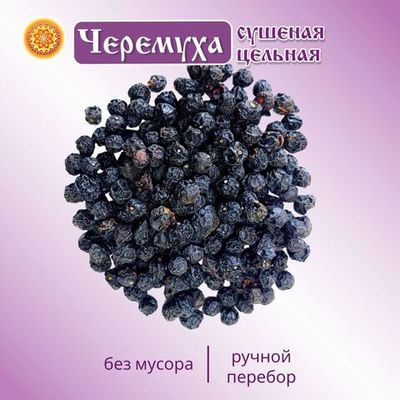 Черемуха чёрная Алтайская