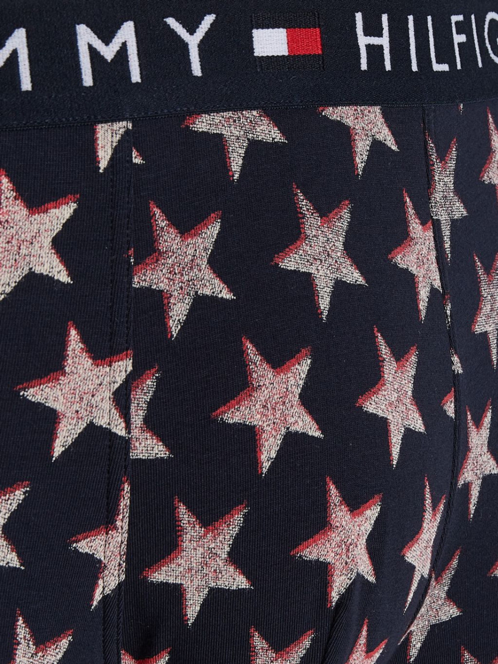 Мужские спортивные боксеры Tommy Hilfiger Trunk Print 1P - разноцветный