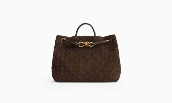 Сумка Bottega Veneta Medium Andiamo "Fondant"