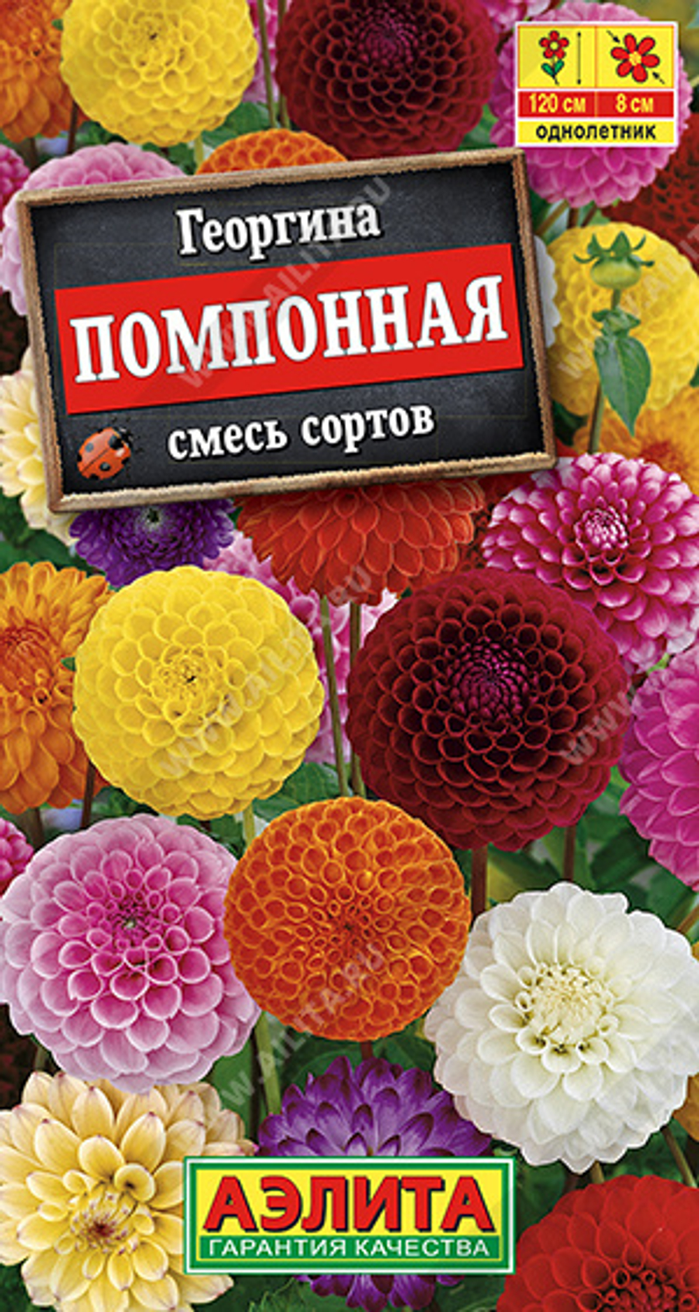 Георгина Помпонная, смесь сортов 0,3гр Аэлита
