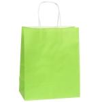 Пакет подарочный «Классика» 27*22*11 см, салатовый