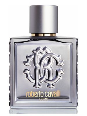 Roberto Cavalli Uomo Silver Essence