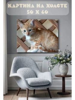 Картина на стену 40 X 50 Котенок