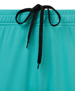 Шорты игровые JOGEL AMKAL PerFormDRY Shorts, бирюзовый/черный