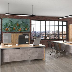 Кабинет руководителя Турин