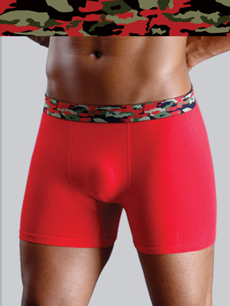 Классические боксеры