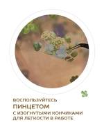 Наклейки флора на прозрачном фоне цветы и растения