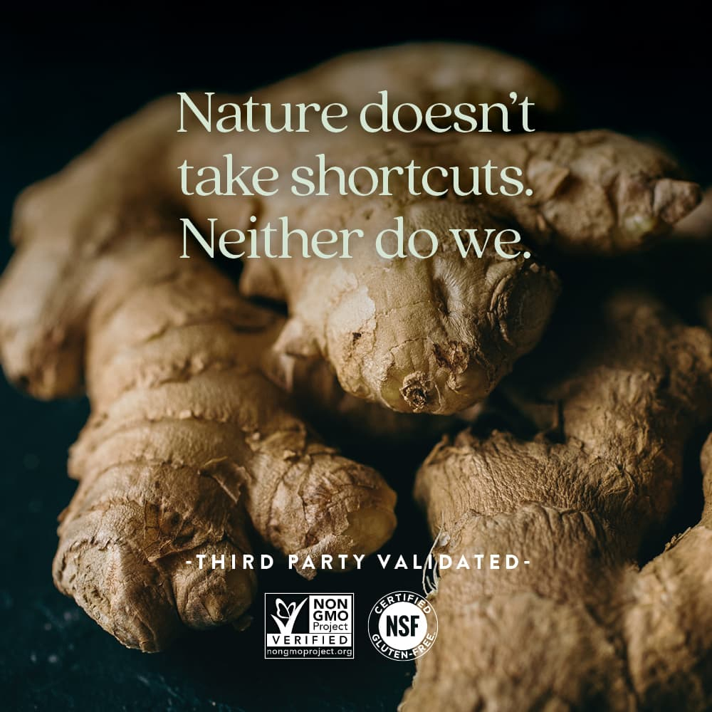 New Chapter, Ginger Force™, 60 вегетарианских капсул