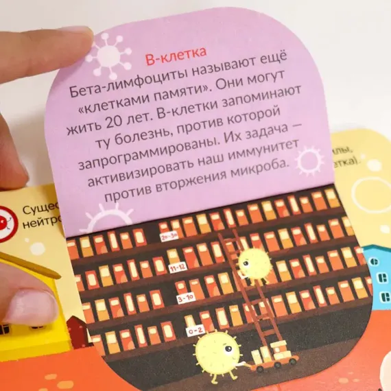 Книжка с окошками. Вирусы и бактерии. Что мы знаем о них? 11.03.2022