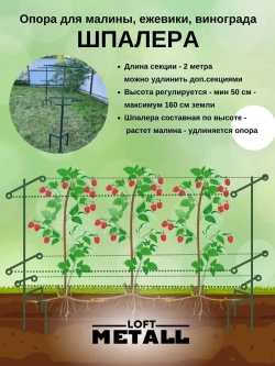 Шпалера садовая для малины и ежевики