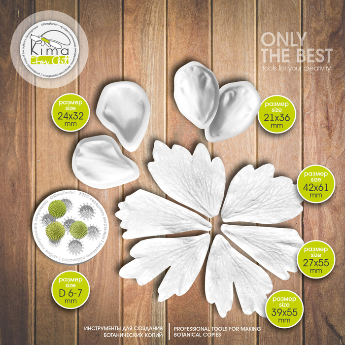 Ветреница набор