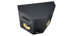 Настенная акустика Davis Acoustics Atmosphere MK2 Black